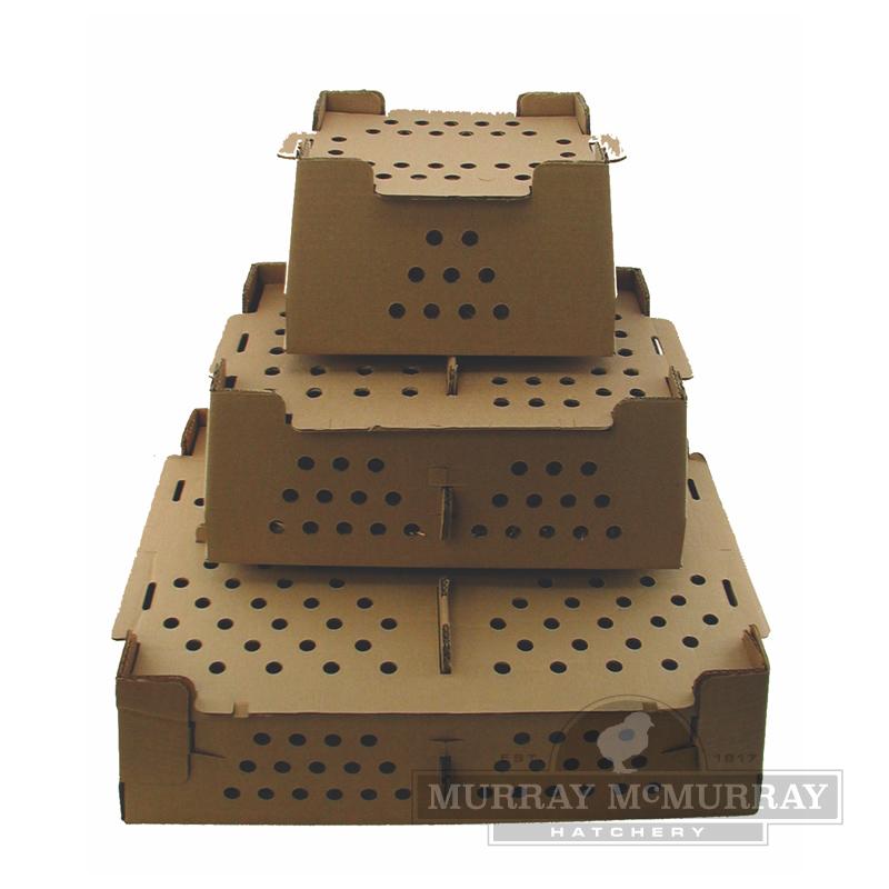 chick cardboard shipping boxes