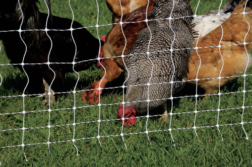 Fence Energizer with Electric Poultry Netting