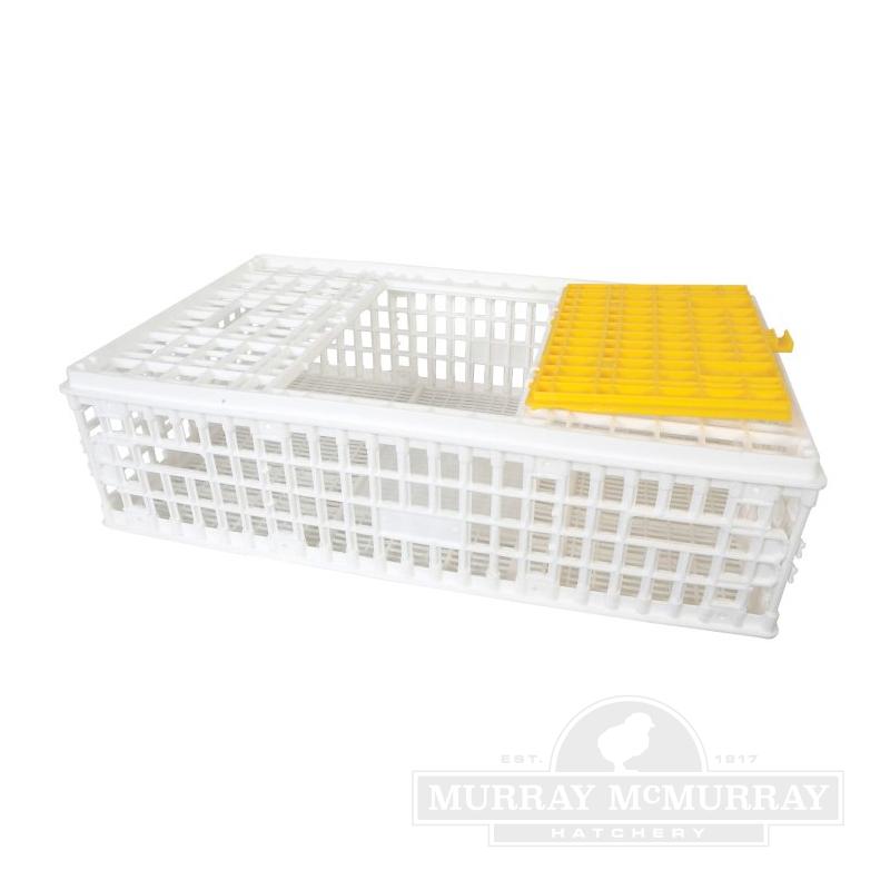 Using Electric Poultry Netting - Murray McMurray Hatchery Blog