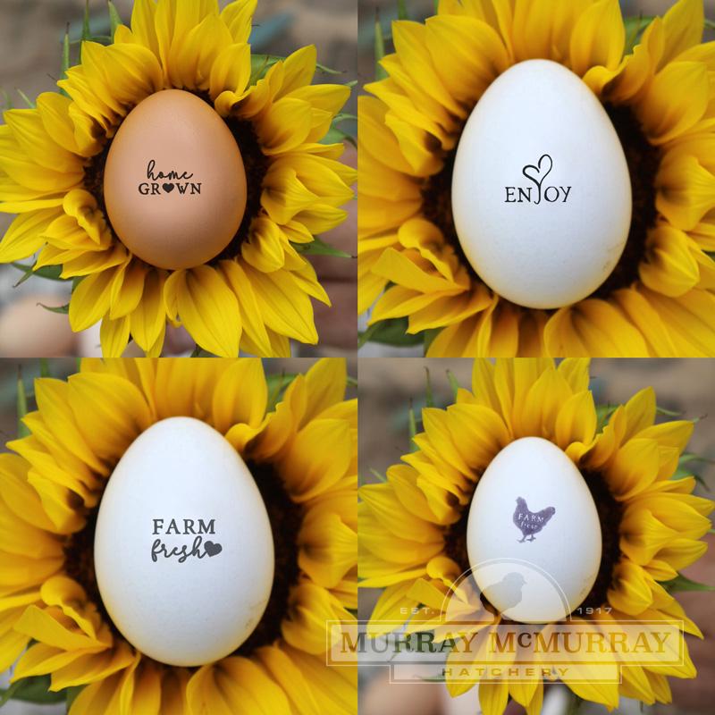 Egg Stamps and Ink