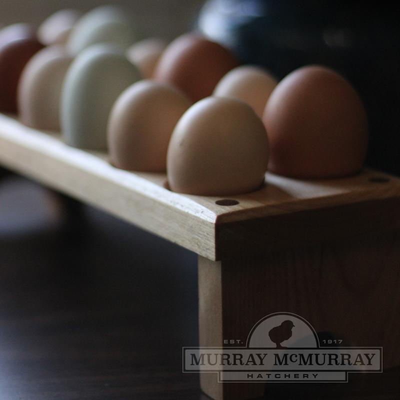 Murray McMurray Hatchery - Wooden Countertop Egg Holder